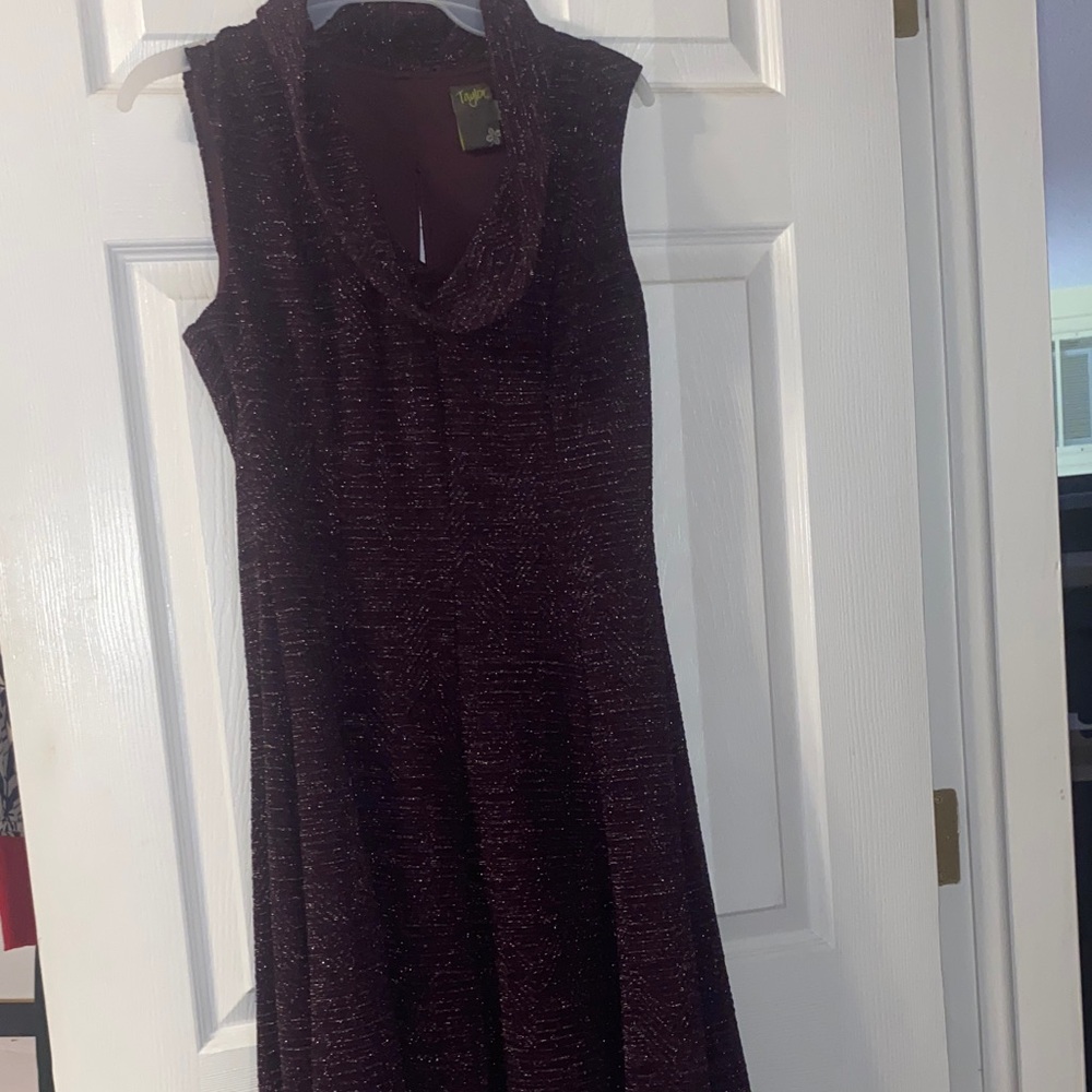 Taylor Shimmering Dark Purple Dress sz 4